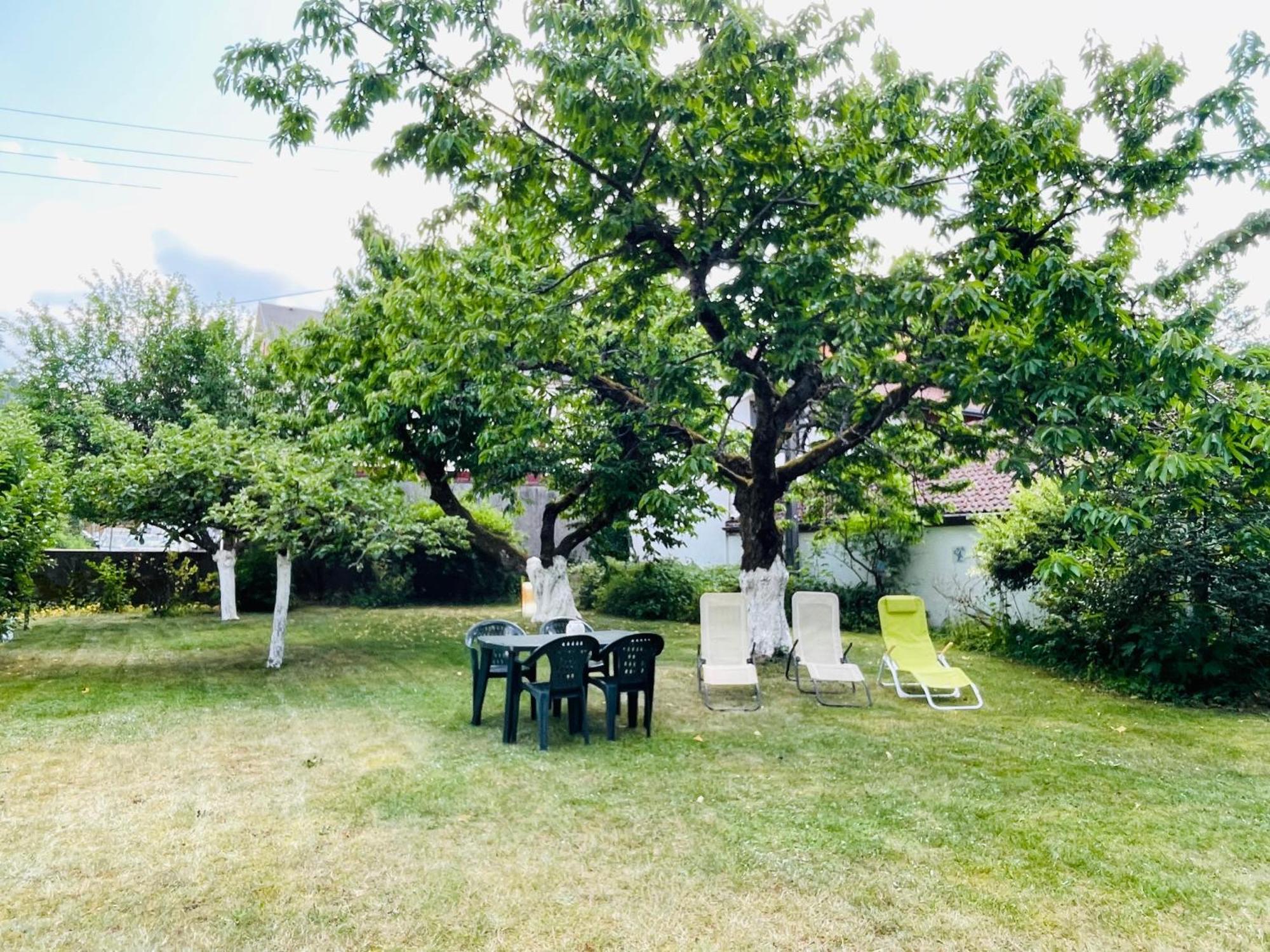 L'Ecureuil Appartement Gérardmer Buitenkant foto