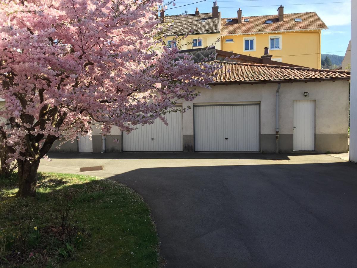 L'Ecureuil Appartement Gérardmer Buitenkant foto